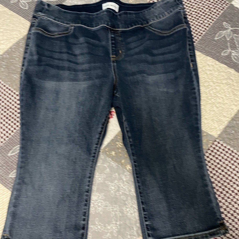 Lane Bryant Pull-On Crop Pants Size 18P